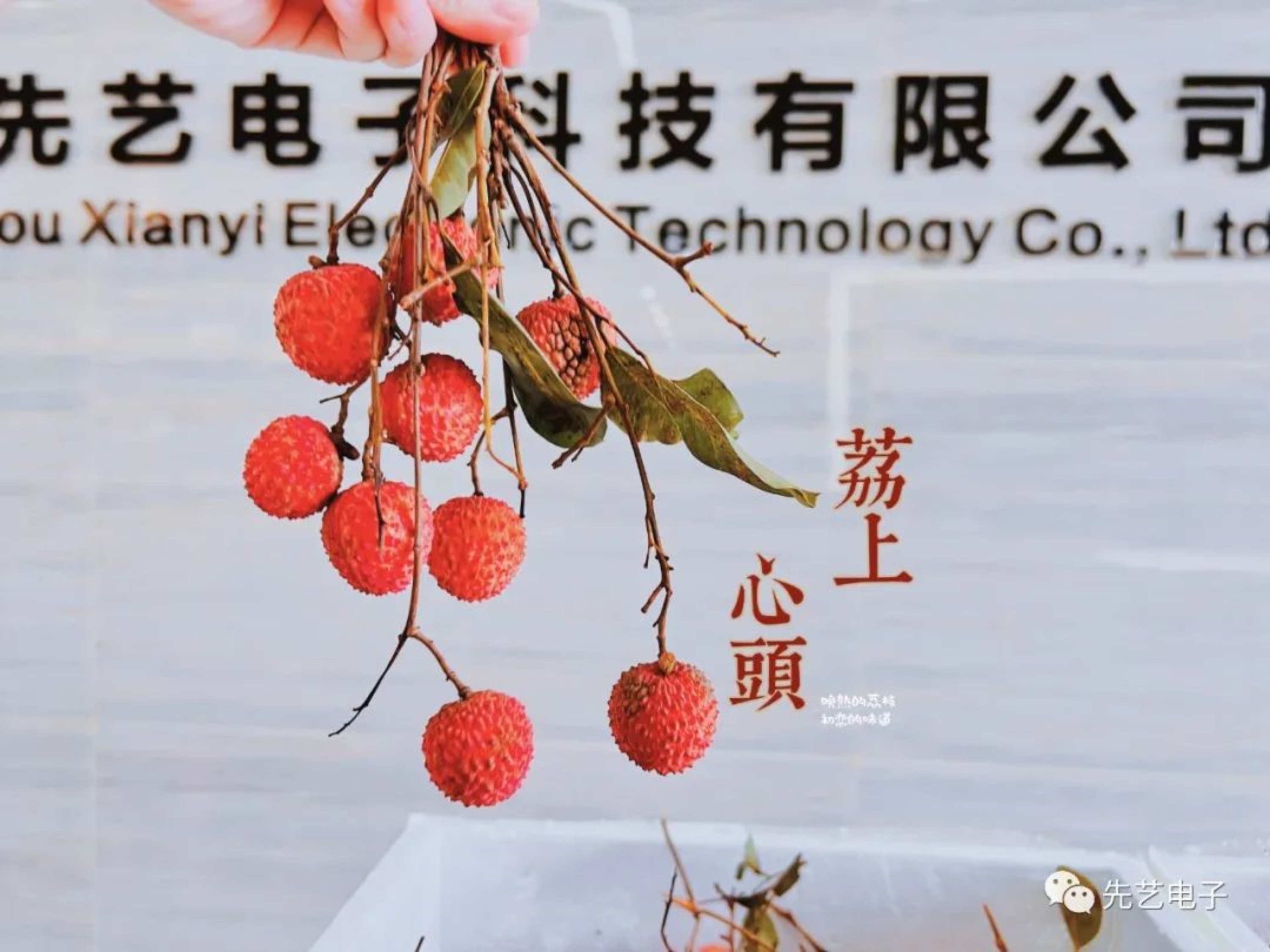 “粽”情端午節(jié) | 生活的滋味不止于咸甜，還有同心協(xié)力一往無前